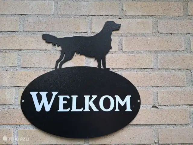 Welkom in De Flatcoated